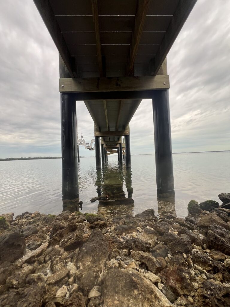 Two wooden dock pilings with black wraps standing in shallow water below a dock walkway, with riprap rock in the foreground. Piling wrap installation by Anderson Dock and Lift, Palmetto FL.