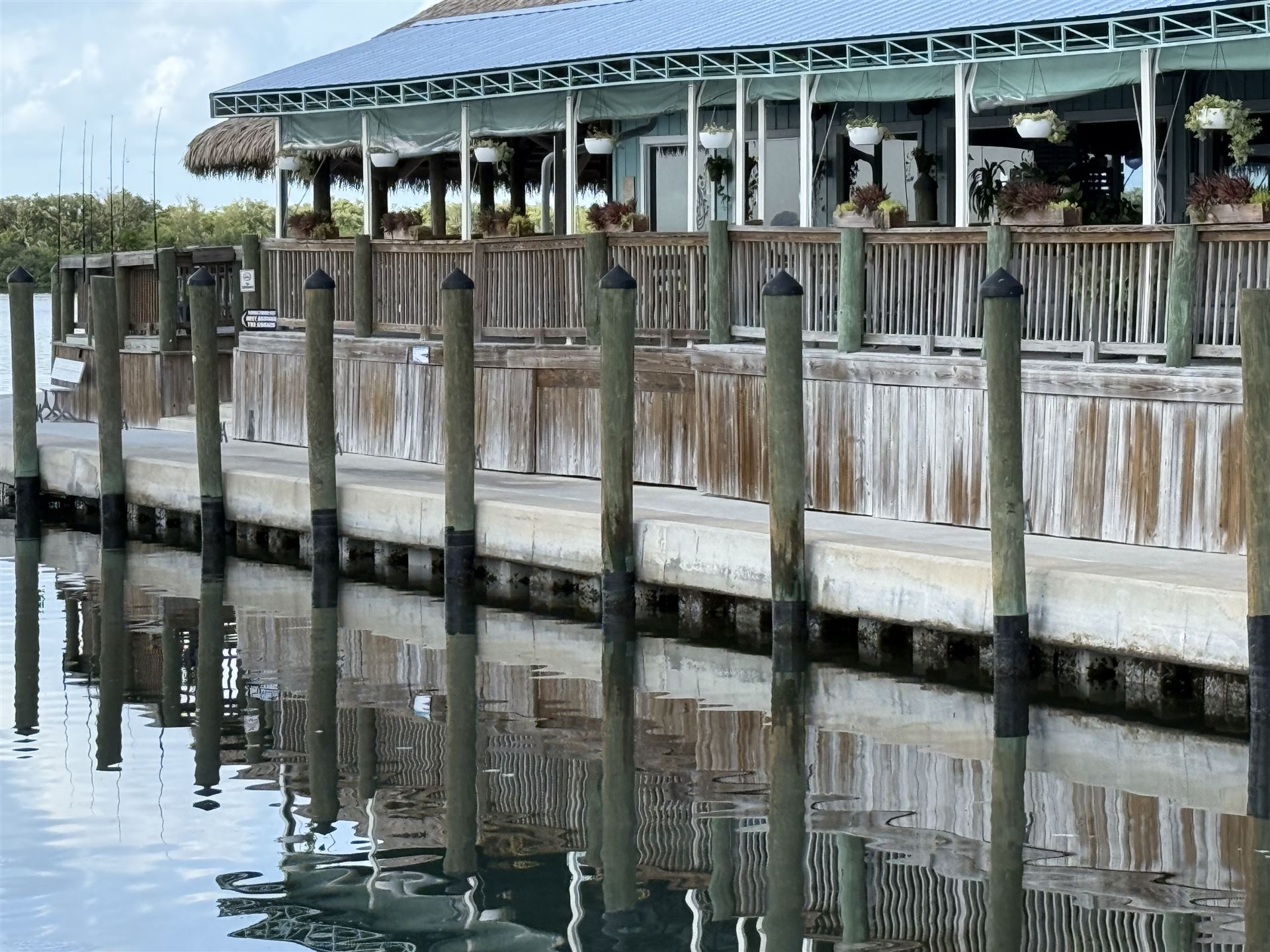 Commercial seawall, concrete cap and pilings at the Swordfish Grill waterfront in Cortez, Florida
