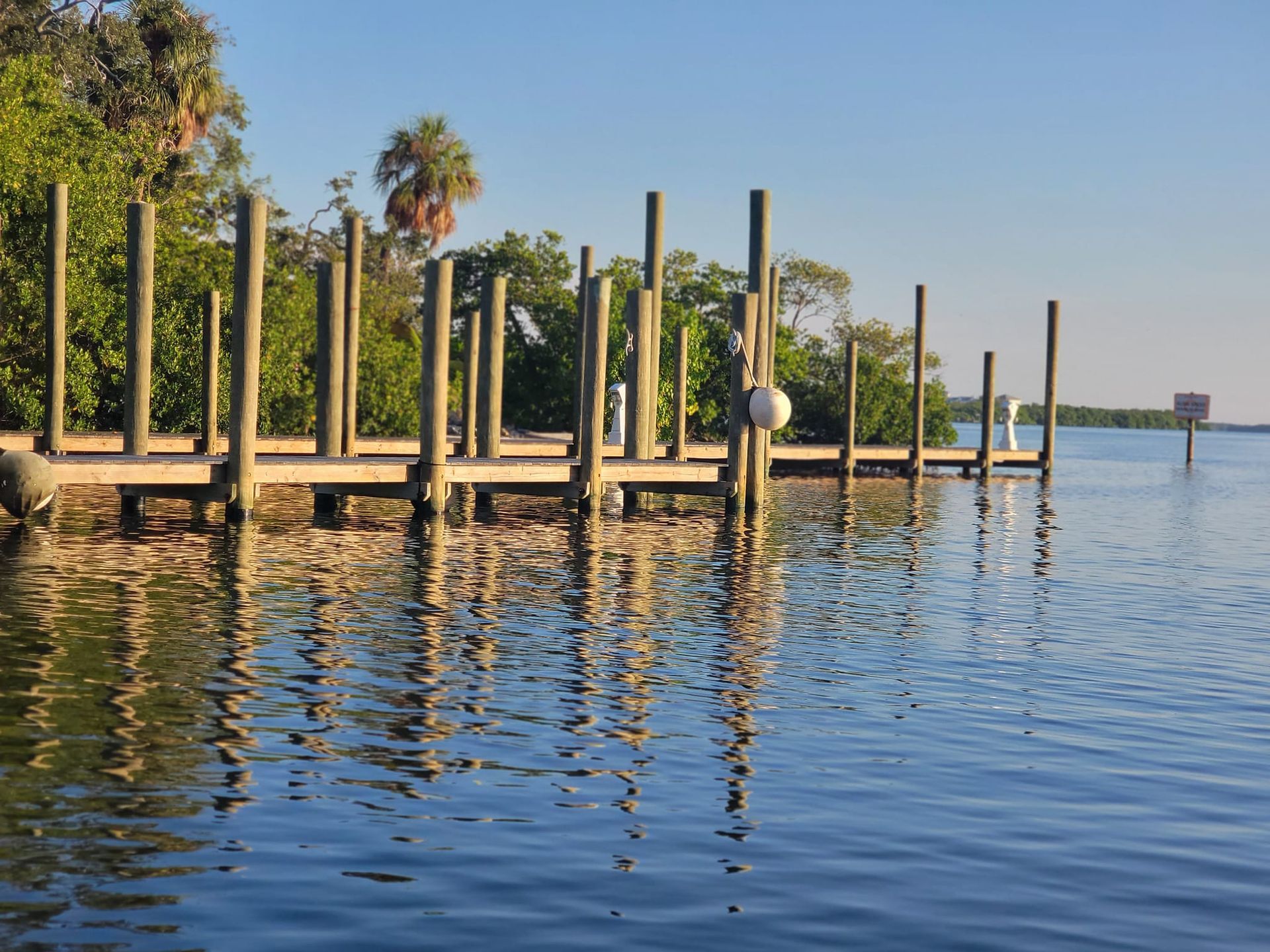 Rows of new wood pilings on a dock along a mangrove shoreline. Piling wrap installation, Anderson Dock and Lift, Manatee County FL.