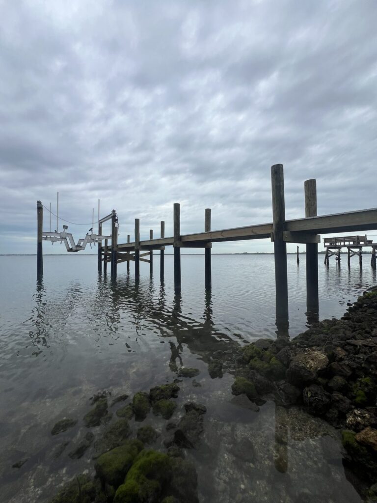 Row of wooden pilings with black wraps at the waterline tied by a horizontal wood beam, standing in shallow water above riprap rock. Piling wrap and seawall work by Anderson Dock and Lift, Manatee County FL.