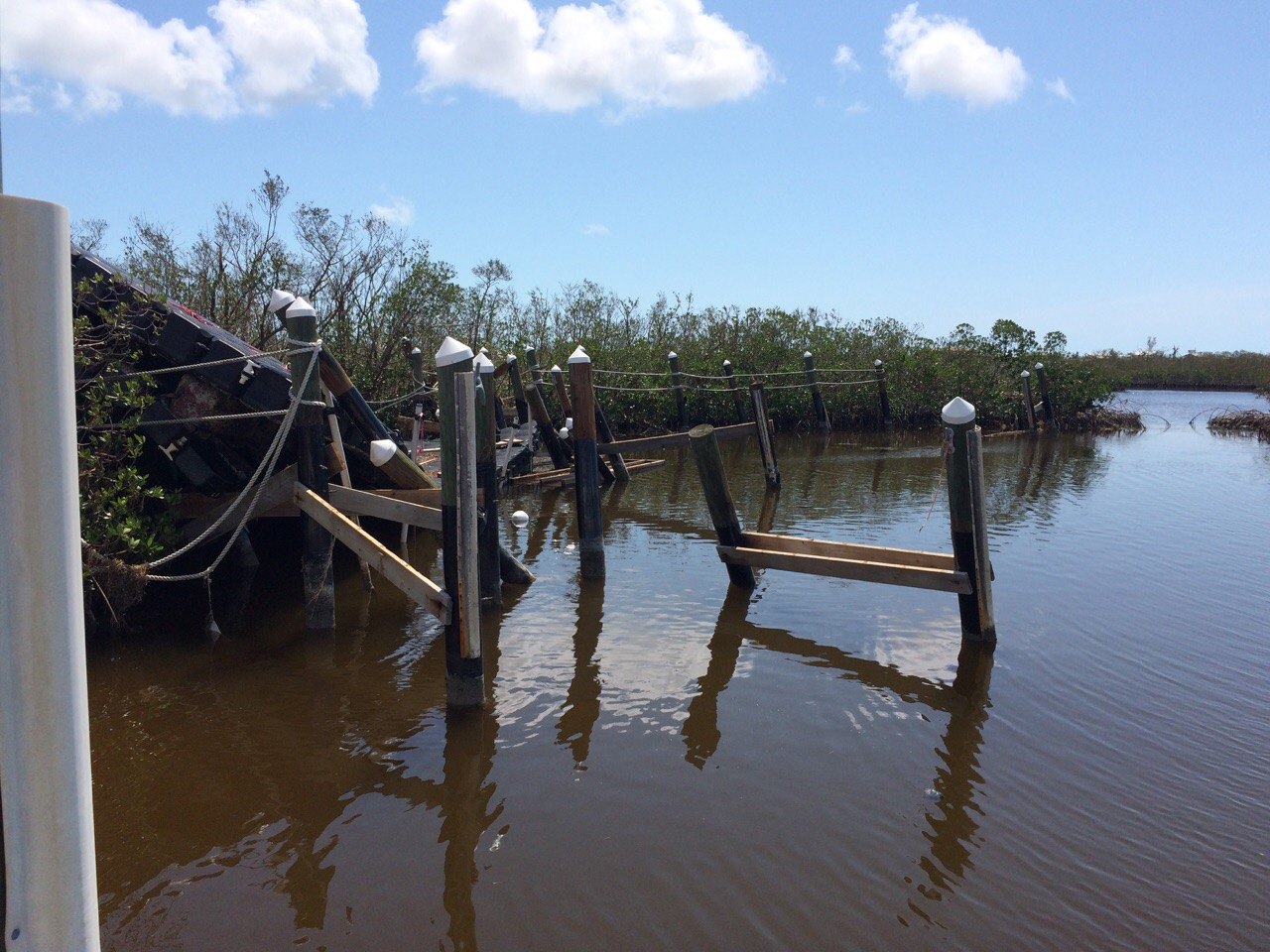 Wood dock pilings standing in brown water with the decking gone, loose boards and a tilted section of dock pushed into the mangroves behind them.